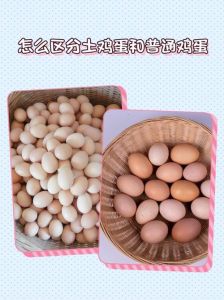 柴鸡蛋和普通鸡蛋有什么区别_柴鸡蛋营养好，口感佳，普通鸡蛋性价比高，按需选择！