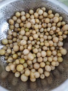 广西野生黄皮腌制_酸香可口，晒干泡茶两不误！