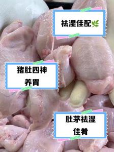 猪肚子属于动物内脏吗_猪肚补虚健脾胃，美味营养要适量