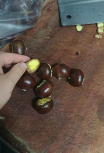 板栗怎么长期保存_冷冻风干糖水法，半年一年享美味！