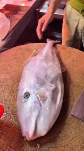 扒皮鱼为什么叫扒皮鱼_鱼皮难吃名由来，肉嫩可多种烹饪