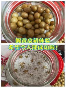 正宗黄皮腌制方法_腌黄皮开胃，老广爱吃的酸甜美味！