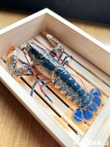 蓝龙虾和小龙虾对比图_稀有的爱马仕，鲜美营养，前景广阔！
