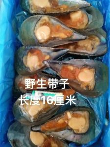 带子就是瑶柱吗_带子与瑶柱的区别及食用注意事项