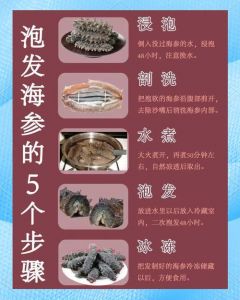 如何泡发干海参图解_干海参清理剪沙嘴，泡发控火候，泡发后冷藏冷冻，煮水可作汤