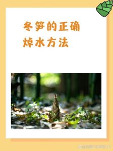 鲜笋怎么处理才不苦_保甜去涩，做法多样