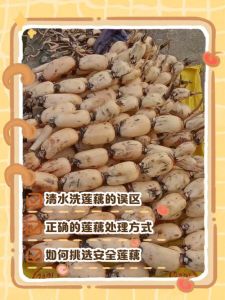 莲藕里面的淤泥怎么清洗干净_清洗莲藕孔洞妙招，轻松去泥沙
