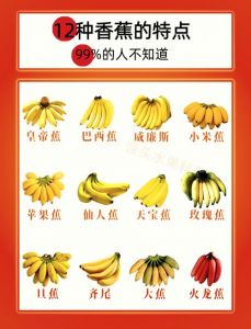 探究国产香蕉口感差异的原因与背后食材特点分析