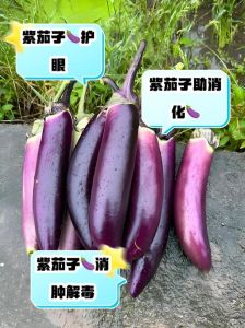 细长紫茄子最简单三个步骤_选对茄子，酥脆入味！