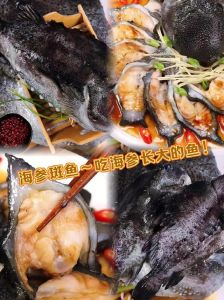 炖海参斑的家常做法_野生海参斑鲜美做法，简单炖煮营养美味