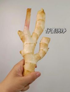 泡生姜的正确方法_挑选新鲜生姜，泡醋切片，玻璃罐保存，红枣柠檬搭配好！