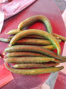 做黄瓜干的简单方法_晒黄瓜干，选好黄瓜腌制片刻再晾晒