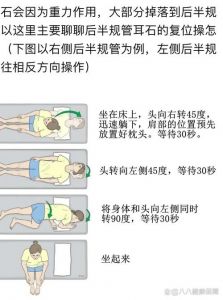 三菜一汤制作指南：体位示意图及详细做法解析