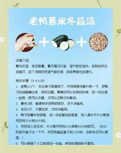 冬瓜老鸭汤的做法_清爽家常夏季靓汤