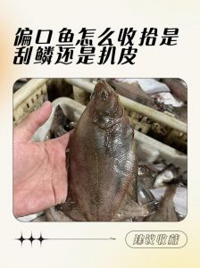 偏口鱼是深海鱼吗_野生偏口鱼近海养殖有啥区别？