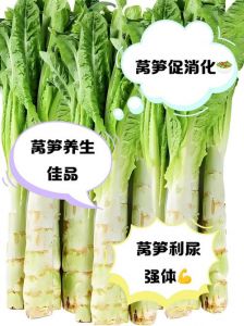 十二月可以栽莴笋吗_莴笋12月移栽看天气，大棚易成活