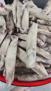 源玉笔管是什么海鲜_深海美味笔管鱼，可炒可炖味道佳