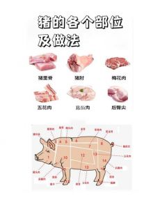 猪牛羊各部位名称图解_猪肉部位各有所长，羊肉牛肉也分门别类！
