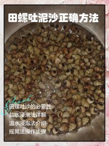 石螺怎么吐泥沙最快最干净_油醋盐辣椒速效法
