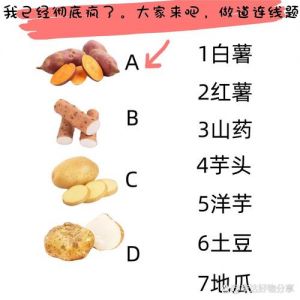 白薯和红薯是一个东西吗_陈振龙带番薯来华，缓解饥荒