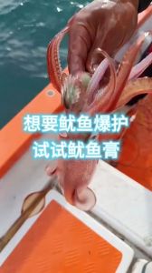 小管鱿鱼怎么清洗图解_小管鱿鱼清洗技巧，简单快速易上手！