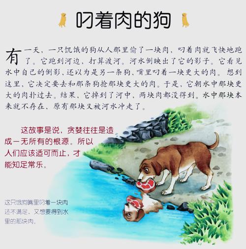 香香公主与爱犬的趣味美食文化揭秘：必吃大瓜的背后故事