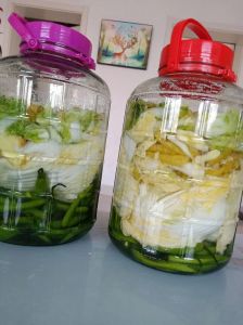 东北的泡菜做法_东北腌酸菜，晒白菜脱水入味，乳酸菌发酵成美味