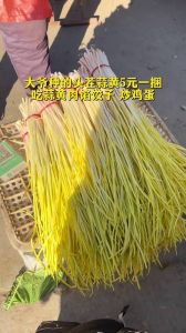 蒜黄猪肉饺子馅的做法_蒜黄猪肉饺子馅，鲜香多汁，家常美味！