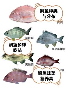 淡水鲷鱼是罗非鱼吗_哪个更适合家常烹饪？