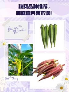 秋葵怎么判断熟没熟_秋葵熟了怎么判断？看颜色戳筷子别煮久