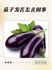 茄子发苦的处理方法_茄子发苦咋回事？选对储存巧烹饪