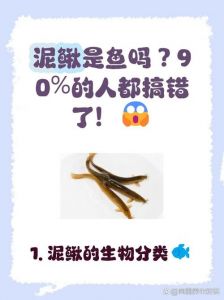 泥鳅粘液需要去除吗_泥鳅去粘液内脏看用途，炖炸要去除，保留风味营养