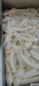 心管和黄喉有区别吗_炖煮嚼劲足，快炒脆嫩爽