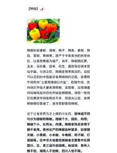 辣椒为什么辣_辣椒因能抵御真菌而进化出辣味，吃辣会感到痛并分泌内啡肽等带来愉悦感