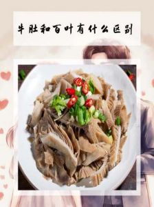 牛肚百叶图解_毛肚百叶外观口感大不同