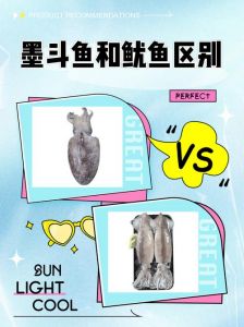 墨鱼与鱿鱼哪个档次高_墨鱼鱿鱼有啥不同？