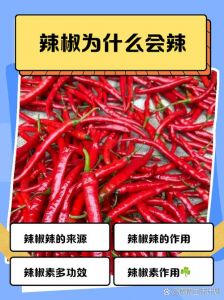 辣椒为什么越放越辣_碱性环境会放大辣椒的辣味