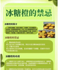 冬天橙子怎么保存的时间长_常温冷藏冷冻皆有效