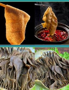 火锅的毛肚是牛肚吗_毛肚火锅鲜脆爽口，涮烫30秒最佳！