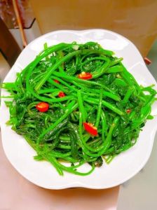 番薯叶的做法家常_蔬菜皇后，凉拌清炒营养高！