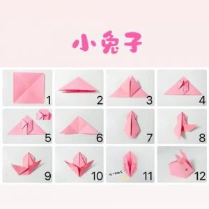 兔子的100种做法大全_麻辣孜然红烧尝鲜味