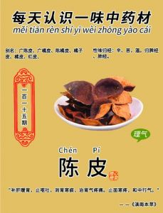 陈皮去瓤和不去瓤的作用_陈皮白囊刮不刮？看需求！