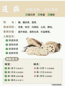 藕几分钟能熟_薄脆厚糯做法全解析