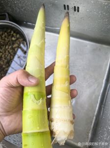 生竹笋的正确焯水方法_竹笋去涩妙招，爽脆不苦！
