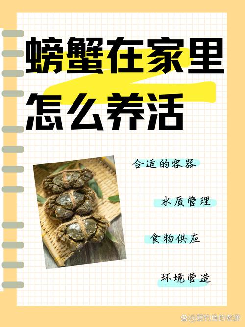 螃蟹可以深水养吗_家养螃蟹水深多少合适? 螃蟹可以深水养吗_家养螃蟹水深多少合适?