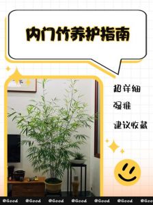 竹子怎样才能清除干净_竹子失控清除难？物理化学方法来帮忙！