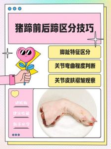 猪下五花和上五花的区别_五花肉怎么选？上五花炒煎好，下五花炖着香！