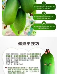 软枣猕猴桃怎么吃用扒皮吗_洗净适量食，敏感者去皮