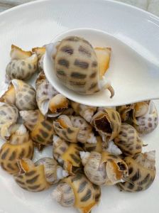 辣螺要开水煮几分钟_辣螺煮多久？新鲜小快熟，大个不新鲜得延长时间