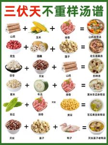 煮汤类做法大全家常_家常暖心汤，简单又营养！